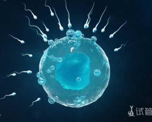 陕西未婚做试管机构行内秘密_陕西做试管婴儿多少钱