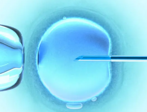 西安三代试管婴儿多少钱！最新回应来了！