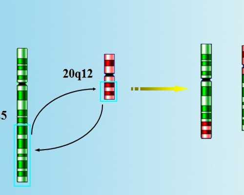 西安试管婴儿费用全部流程费用一次了解？西安市试管婴儿费用大约多少？