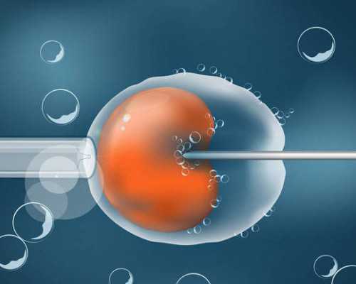 助孕包男孩_包成功零风险,怀孕十个月每个月胎儿怕什么