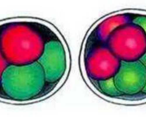 2026年西安最有名的试管医院排名公布(西安试管婴儿医院排行)