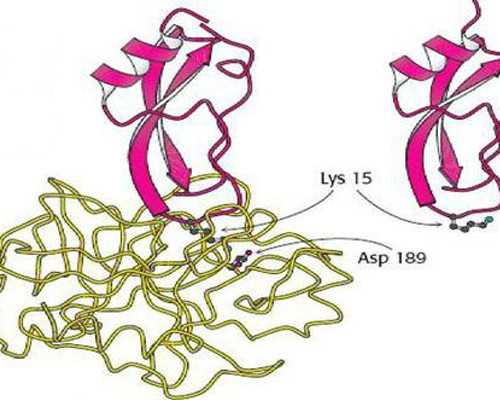 amh0.04有没有进入绝经期？amh0.04有没有怀孕的可能？