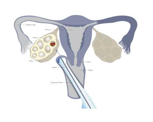 咸阳试管婴儿医院哪里强?陕西试管医院成功率排行?