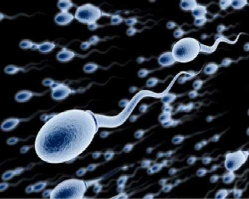 西安供卵代母,西安找机构做试管需要多少费用！西安做试管婴儿的全部费用大