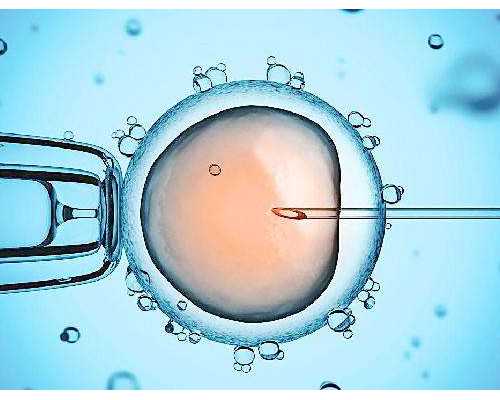 西安四院试管婴儿费用表,2026助孕全过程花费明细公开!