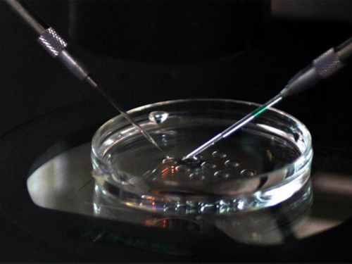 西安供卵试管馆靠谱吗_西安花钱找个女代怀生孩子