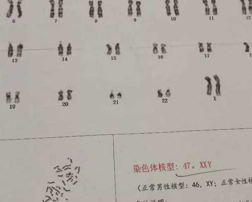 咨询代孕费用_哪家医院做供卵试管代孕,子宫有状况就不能着床?