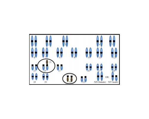 2026年西安私立试管医院排名？助孕成功率明细？