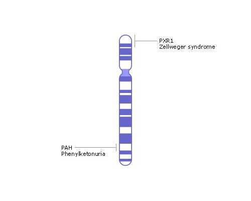 捐卵报价_中国捐卵医院地址,宝宝发烧了怎么降温