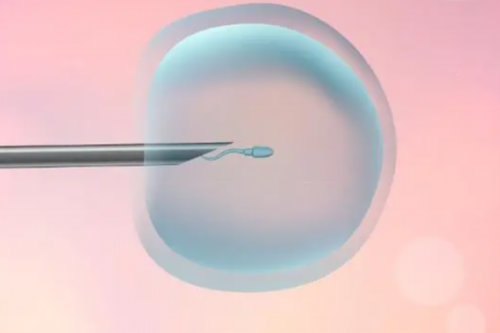 哪里能找到代孕,
              美卓乐正规减量步骤是怎么样的？
            