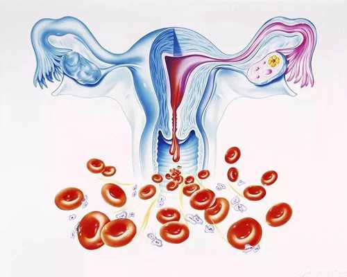 西安借卵生育,西安市公立试管医院是哪个医院,西安市试管婴儿最好的医院!