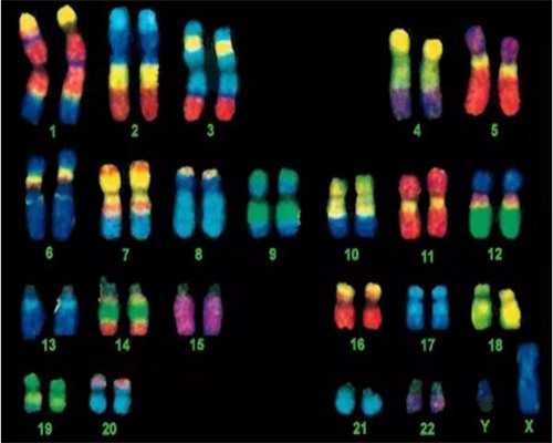 西安助孕微信QQ,西安供卵助孕哪家好,西安三代试管婴儿哪家医院做的比较好，