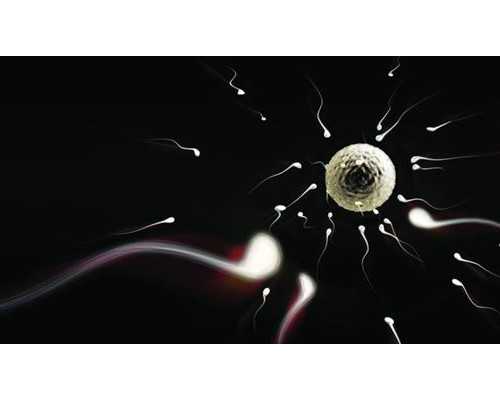 代孕需要哪些材料&国内有没有供卵机构,在线回答试管二代医生联系做三代原因