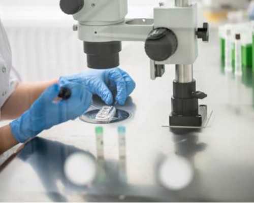 代孕机构网站_国内供卵代怀服务,
              胚胎刚着床的孕酮和雌二醇数值多